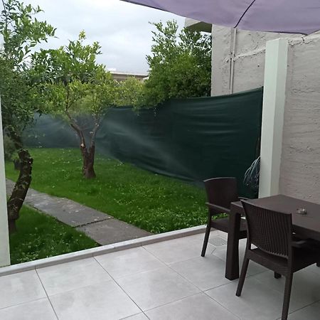 Olgas Cozy Home Chania  Buitenkant foto