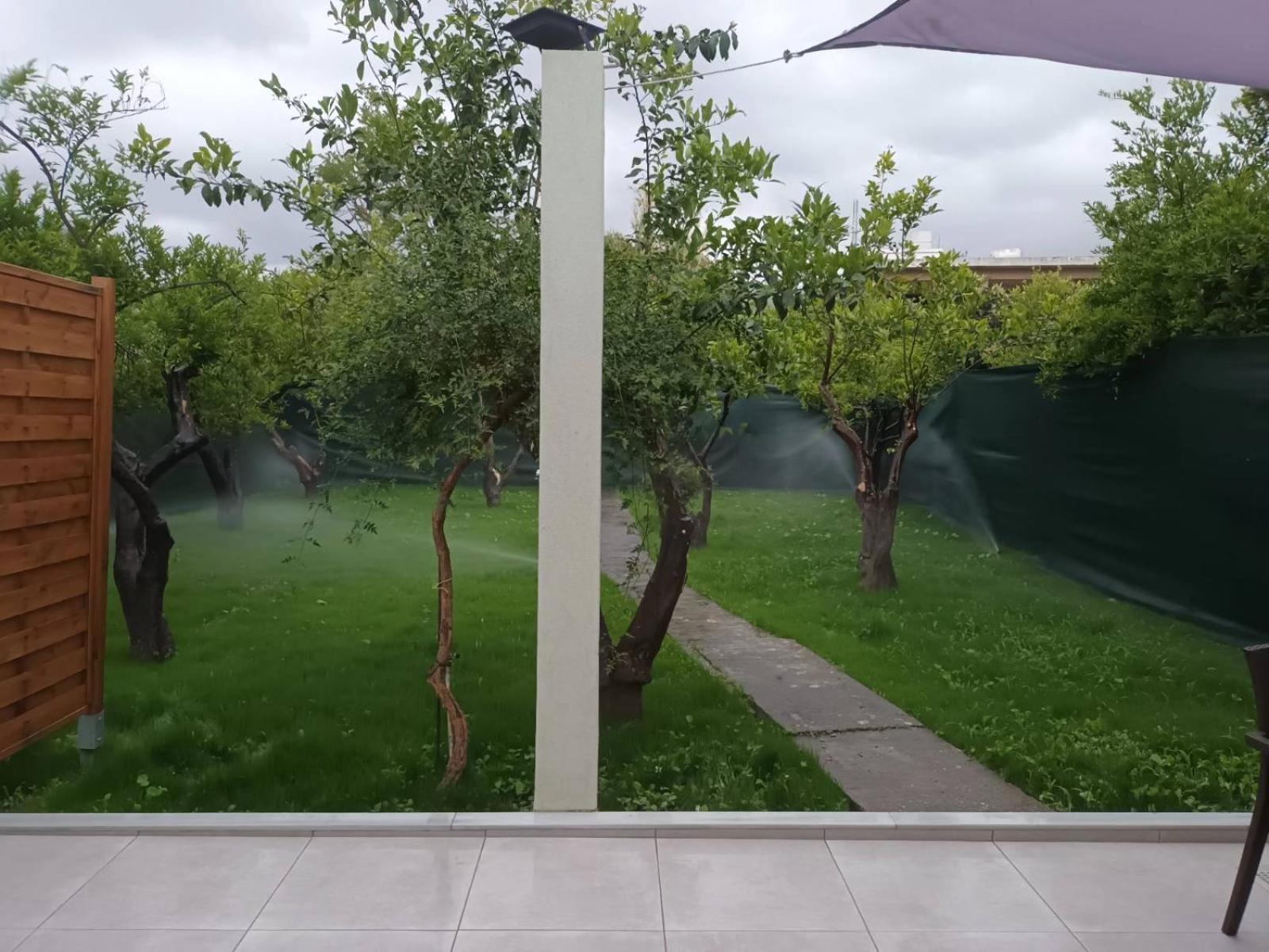 Olgas Cozy Home Chania  Buitenkant foto